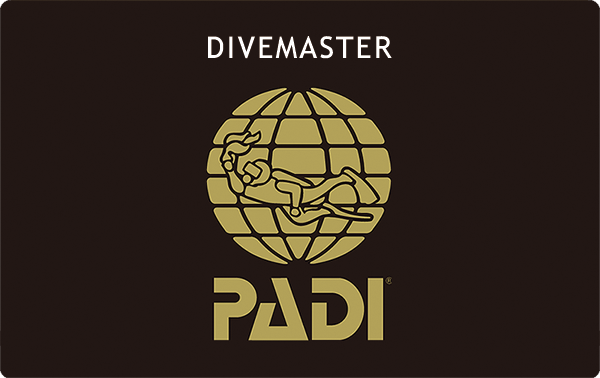 DIVEMASTER