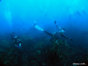 DSCF7738