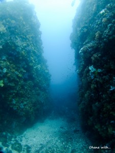 DSCF7106