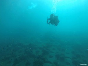 DCIM100GOPROGOPR2609.JPG
