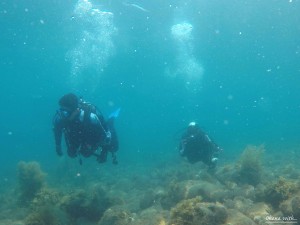 DCIM118GOPROGOPR6990.JPG