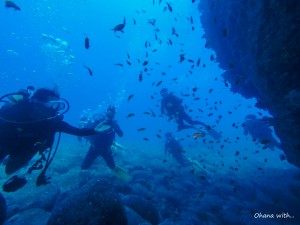 DCIM100GOPROGOPR0014.JPG