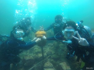 DCIM129GOPROGOPR8534.JPG