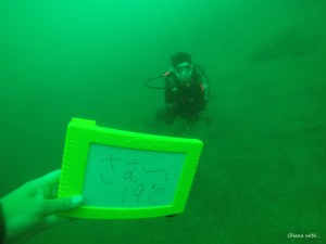 DCIM129GOPROGOPR8735.JPG