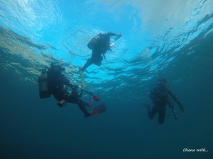 DCIM101GOPROGOPR2161.JPG