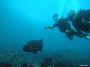DCIM100GOPROGOPR0018.JPG