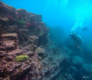 GOPR0263