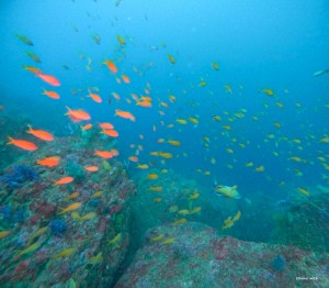 GOPR0779