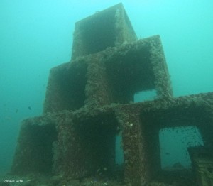 DCIM100GOPROGOPR8428.JPG