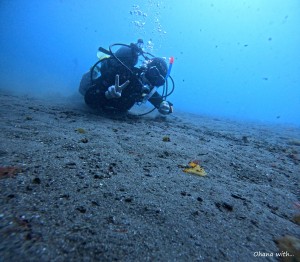 DCIM100GOPROGOPR1869.JPG