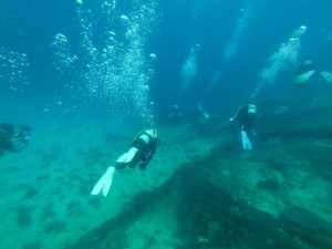 LINE_ALBUM_柏島 GoPro写真_240702_2