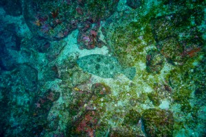 _DSC5656