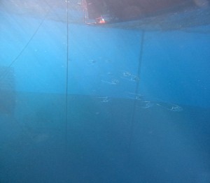 DCIM100GOPROGOPR2911.JPG
