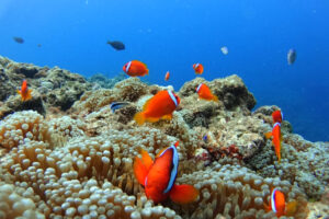 LINE_ALBUM_20230116_230118_14
