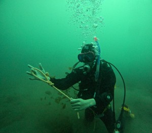 DCIM100GOPROGOPR4321.JPG