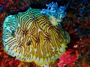 P3070025