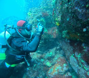 DCIM100GOPROGOPR5012.JPG