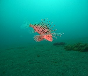 DCIM100GOPROGOPR8970.JPG