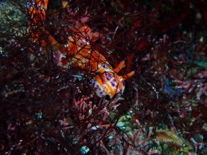 line_oa_chat_250430_171810