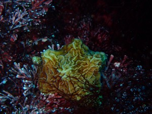 line_oa_chat_250430_171811