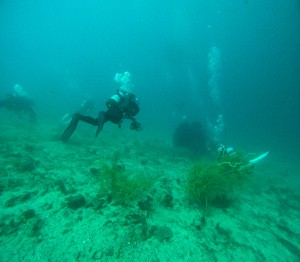 GOPR8093