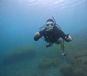 DCIM100GOPROGOPR9575.JPG