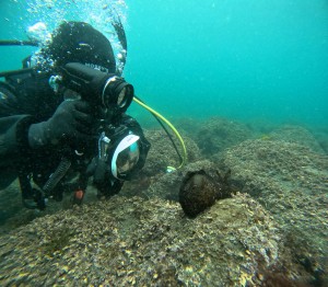 DCIM101GOPROGOPR0007.JPG