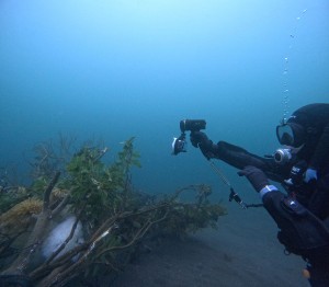 DCIM101GOPROGOPR0015.JPG