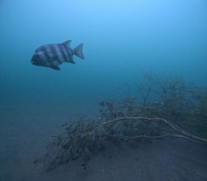 DCIM101GOPROGOPR0034.JPG