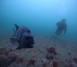 DCIM101GOPROGOPR0037.JPG