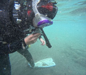 DCIM101GOPROGOPR0047.JPG