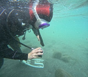 DCIM101GOPROGOPR0049.JPG