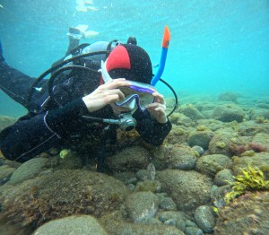 DCIM101GOPROGOPR0052.JPG