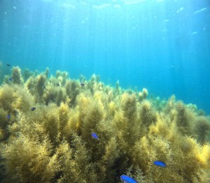 DCIM100GOPROGOPR0323.JPG