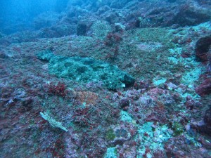 GOPR3893