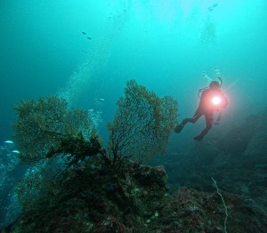 DCIM100GOPROGOPR9950.JPG