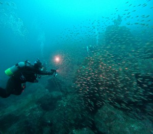 DCIM100GOPROGOPR9960.JPG