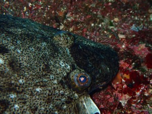 P6080061