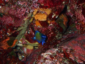 P6080069