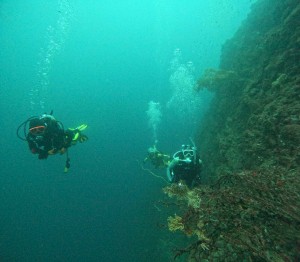 DCIM100GOPROGOPR1486.JPG