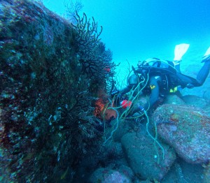 DCIM100GOPROGOPR5729.JPG
