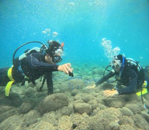 DCIM100GOPROGOPR2637.JPG