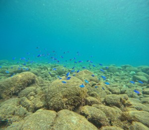 DCIM100GOPROGOPR2901.JPG