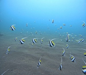 DCIM100GOPROGOPR3421.JPG