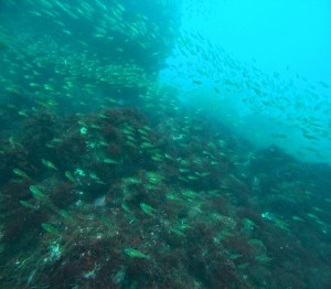 DCIM100GOPROGOPR3458.JPG