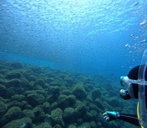 DCIM100GOPROGOPR7689.JPG