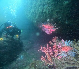 DCIM100GOPROGOPR9125.JPG