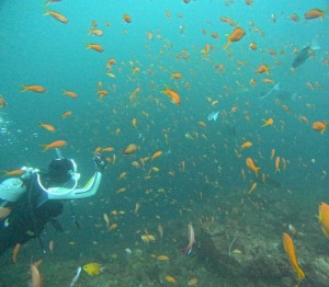 DCIM101GOPROGOPR0666.JPG