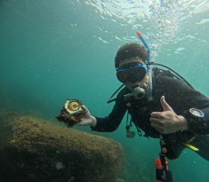 DCIM101GOPROGOPR1179.JPG