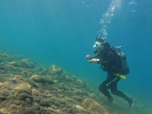 DCIM100GOPROGOPR2523.JPG